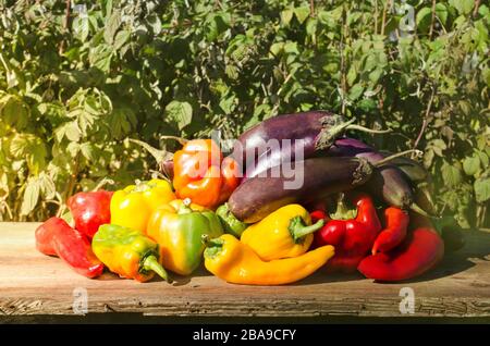 Frische bunte Paprika, Auberginen auf Holz. Gesundes organisches Gemüse. Gruppe bunter Paprika, Aubergine auf dem Holzhintergrund. Stockfoto