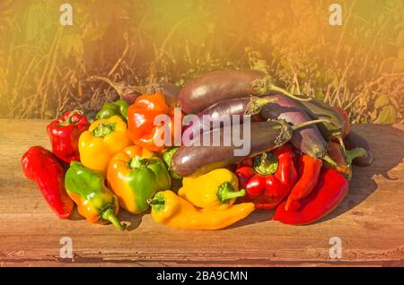 Frische bunte Paprika, Auberginen auf Holz. Gesundes organisches Gemüse. Gruppe bunter Paprika, Aubergine auf dem Holzhintergrund. Stockfoto