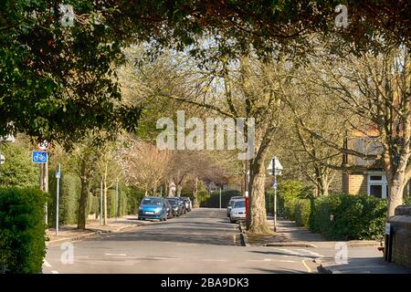 Merton Park, London, Großbritannien. März 2020. Ruhige Wohnstraßen in dieser grünen Vorstadt im Südwesten Londons während des Coronavirus Sperrens. Kredit: Malcolm Park/Alamy Live News. Stockfoto