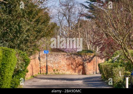 Merton Park, London, Großbritannien. März 2020. Ruhige Wohnstraßen in dieser grünen Vorstadt im Südwesten Londons während des Coronavirus Sperrens. Kredit: Malcolm Park/Alamy Live News. Stockfoto