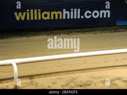 Allgemeiner Blick auf das William Hill Branding im Wimbledon Greyhound Stadium Stockfoto