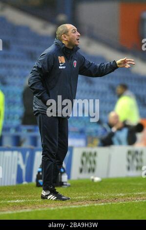 Charlton Athletic erster Team-Coach DamianMatthew Stockfoto
