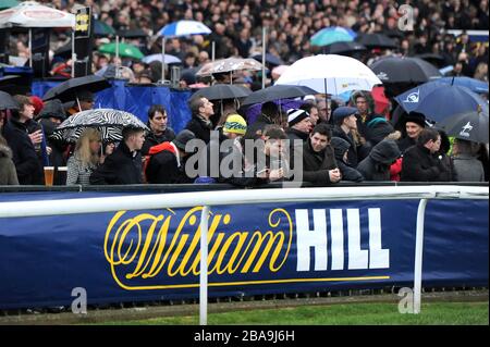 Auf der Rennbahn Kempton Park werden über die William Hill Beschilderung hinausgehende Rassegusse gesehen Stockfoto