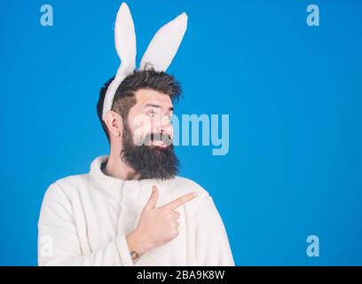 Mann trägt einen kuscheligen Plüschanzug. Lustiger Hünenmann mit Bart und Schnurrbart. Konzept des Ostersymbols. Kerl bärtiger Flusspferd süßer sanfter, bunter langer Ohren blauer Hintergrund. Respekt vor Traditionen. Osterhase. Stockfoto