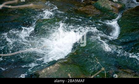 Geschäumtes Wasser eines Baches im Frühjahr Stockfoto