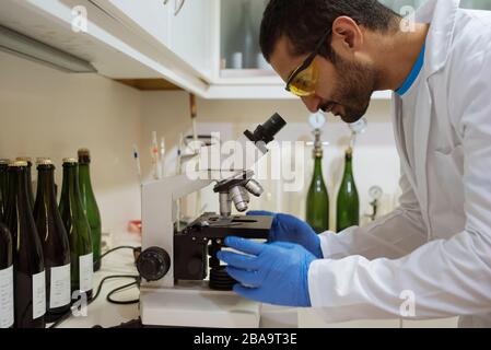 Winzer analysiert eine Probe unter dem Mikroskop in einem Kellerei-Labor. Stockfoto