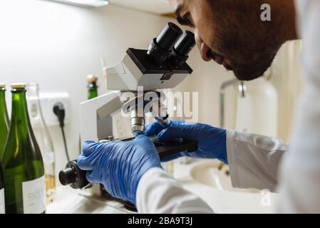 Winzer analysiert eine Probe unter dem Mikroskop in einem Kellerei-Labor. Stockfoto