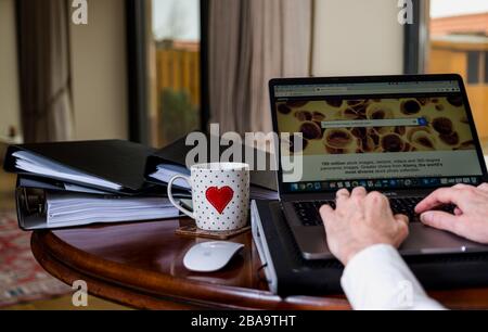 Frau, die zu Hause auf einem Laptop auf dem Tisch arbeitete, auf dem Bildschirm die Website der Alamy Stock Library angezeigt wird Stockfoto