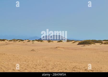 Blick auf die goldenen Dünen von Corralejo mit Vegetation und Fußstapfen auf dem Boden und im Hintergrund auf den Berg der Isla de Lobos an einem klaren Tag Stockfoto