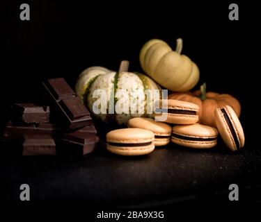 Kürbis Schokolade Macarons mit Schokoladenstücken und Mini-Kürbis Stockfoto