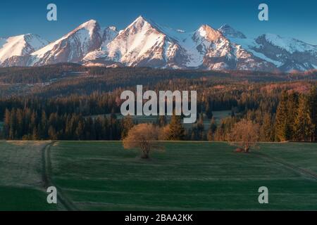 Blick auf einen norwegischen Fjord im Sommer auf der Senja-Insel im Norden Norwegens, schöne Landschaft Tromso Land farbenfroher Sonnenuntergang, Mitternachtssonne im Sommer Stockfoto