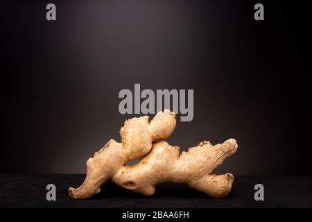 Frische Ingwerwurzel. Low Key Stillleben Studio mit essbarem Gewürz vor dunklem Hintergrund. Stockfoto