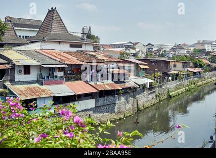 Blick auf den Fluss Yogyakarta mit Blumen Stockfoto
