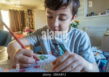 Ein kleiner Junge, der im Rahmen einer Schulübung in ungerade nummerierten Formen färbt. Er lernt von zu Hause aus wegen Coronavirus. Stockfoto