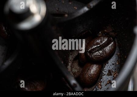 Kaffeeunternehmen und exportieren Kaffeebohnen. Stockfoto