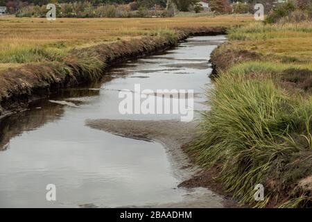 Ökosysteme an der Küste sind vielfältig und auch landschaftlich reizvoll. Besonders im Herbst. Ebbe gibt einen anderen Blick als Flut.in der Nähe der Route 1A, Rye. Stockfoto