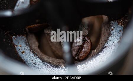 Kaffeeunternehmen und exportieren Kaffeebohnen. Stockfoto