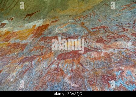 Ein Tourist fotografiert die Kunst des San Rock in der Inanke Cave, Matobo National Park, Simbabwe. Stockfoto