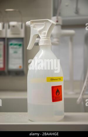 Laborsprühflasche mit Ethanol zur Desinfektion von Viren und Bakterien Stockfoto