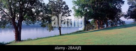 Wiese und Bäume am Ufer des Ohio River, Hardin County, Illinois, USA Stockfoto