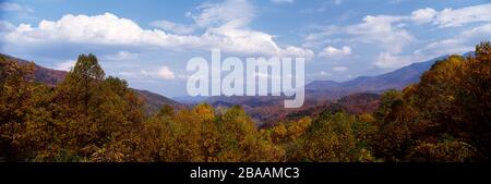 Panoramablick auf Wald und Hügelland am bewölkten Tag, Great Smoky Mountains National Park, Tennessee, USA Stockfoto