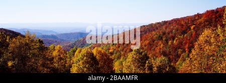 Panoramablick auf das von Wald bedeckte Hügelland, Blue Ridge Parkway, North Carolina, USA Stockfoto