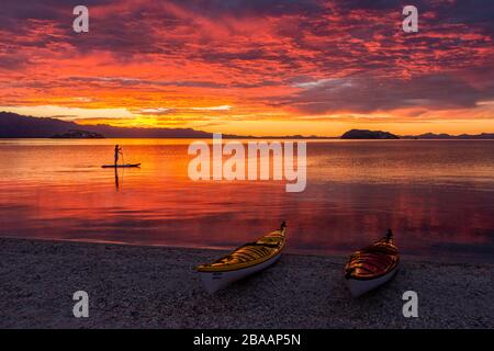 Kajaks am Strand und Paddel-Boarding im Golf von Kalifornien bei Sonnenaufgang, Baja California sur, Mexiko Stockfoto