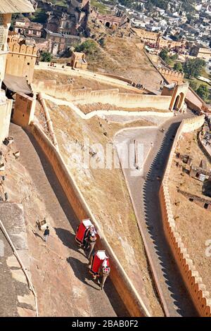 Elefanten, die Touristen nach Amber Fort, Jaipur, Rajasthan, Indien bringen Stockfoto