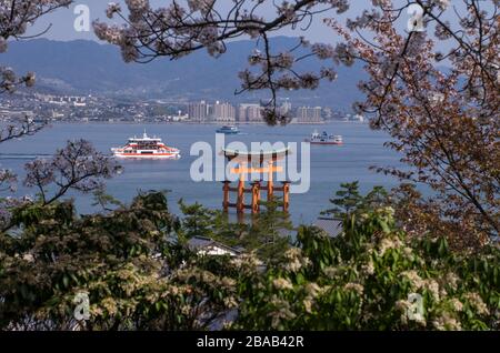 Das berühmte schwimmende Tor von Miyajima zwischen Fähren und Kirschblüten, Miyajima, Präfektur Hiroshiam, Japan Stockfoto