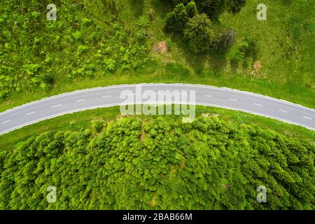 Kurvige Straße von oben Grün Laub, Baiersbronn, Baden-Württemberg, Deutschland Stockfoto