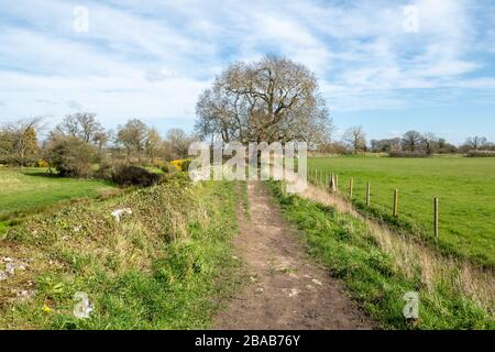 Fußweg rund um die Silchester Roman Town Wall in Hampshire, Großbritannien Stockfoto