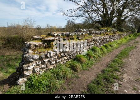 Fußweg rund um die Silchester Roman Town Wall in Hampshire, Großbritannien Stockfoto