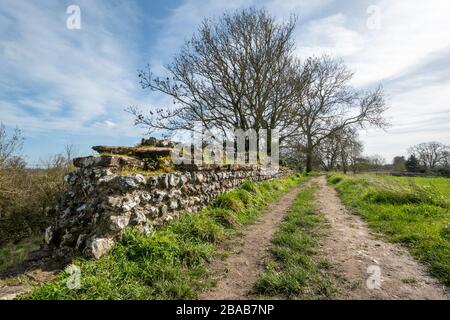 Fußweg rund um die Silchester Roman Town Wall in Hampshire, Großbritannien Stockfoto