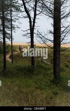 2 Personen auf einem Waldweg, der zur Norfolk Küste führt Stockfoto