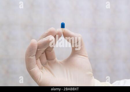 Blaue und weiße Pille in den Ärzten Hand mit Handschuhen. Konzept zur Heilung von Krankheiten, selektiver Fokus. Stockfoto