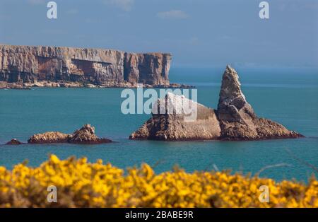 Church Rock, Broad Haven, Pembrokeshire, West Wales, Großbritannien Stockfoto