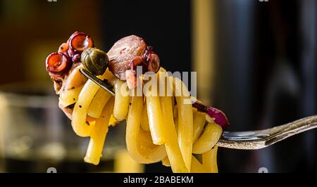 Gerollte Pasta auf einer Gabel mit Tintenfisch. Stockfoto