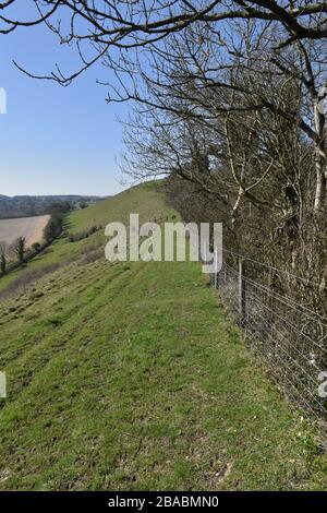 Long Knoll, Wiltshire, Großbritannien Stockfoto