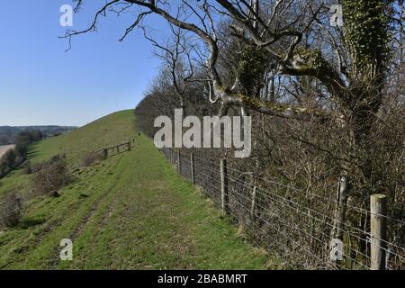 Long Knoll, Wiltshire, Großbritannien Stockfoto