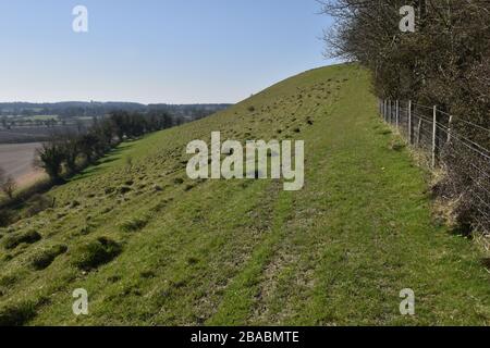 Long Knoll, Wiltshire, Großbritannien Stockfoto