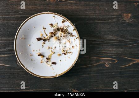 Fischknochen auf einem einzigen weißen Teller. Holztisch Hintergrund. Flaches Foto oben unten mit Kopierbereich Stockfoto