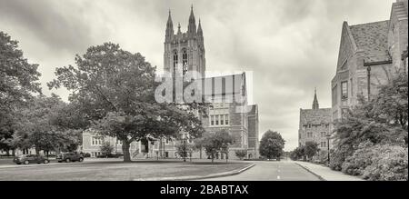 Sehen Sie sich die Gasson Hall des Boston College, Chestnut Hill, Boston, Massachusetts, USA an Stockfoto