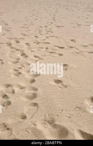 Glatter Sand Texture von einem lokalen Strand Stockfoto