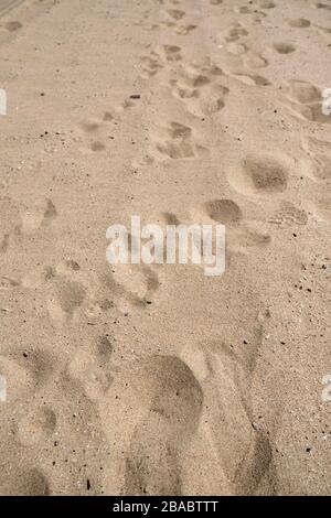 Glatter Sand Texture von einem lokalen Strand Stockfoto