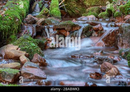 Streushwasser in der Wolfsschlucht bei Zwingenberg im vorderen und vorderen Kreis. Stockfoto