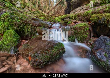 Streushwasser in der Wolfsschlucht bei Zwingenberg im vorderen und vorderen Kreis. Stockfoto