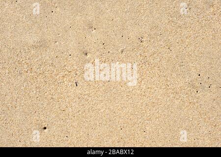 Glatter Sand Texture von einem lokalen Strand Stockfoto