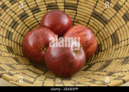 Frische rohe, köstliche Äpfel-Früchte in einem kreisförmigen, braunen gewebten Korb Stockfoto