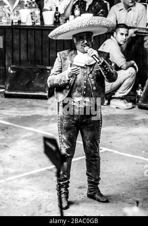 Vicente Fernández en el palenque de la Expo Gan Sonora. Mai 2009. Stockfoto