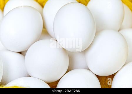 Chiken weiße Eier schließen aus. Farm Hühner ökologische Eier Stockfoto